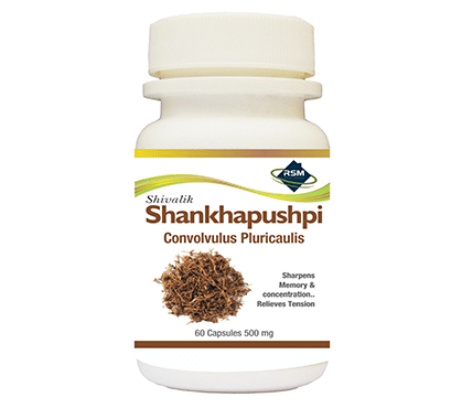 Shankhapushpi - Convolvulus pluricaulis