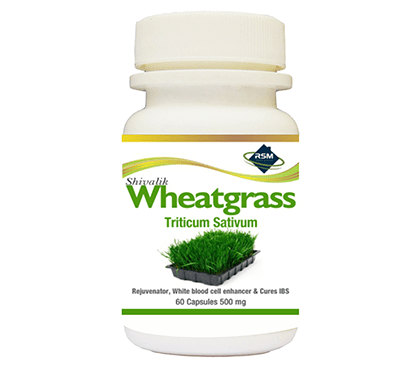 Wheatgrass Powder- Triticum sativum