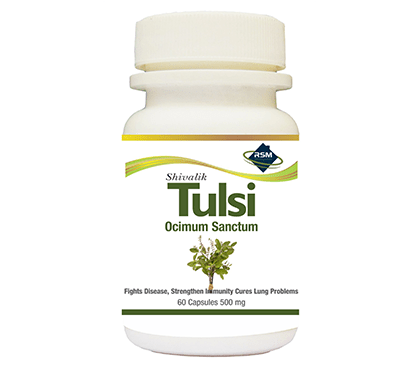 Tulsi- Ocimum sanctum